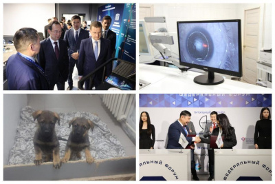 Что произошло в Якутии 24 ноября: обзор событий за день / ЯСИА   Республика Саха (Якутия)