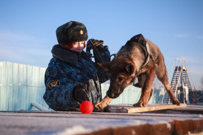 Новые щенки начнут службу в УФСИН Якутии / ЯСИА   