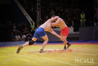 Лучшие хапсагаисты Якутии сегодня вступят в борьбу на турнире Sakha arena / Дьулустаан Сергеев   