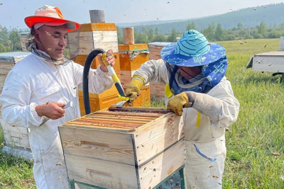 Якутяне развивают бизнес на «дальневосточных гектарах» / ЯСИА   