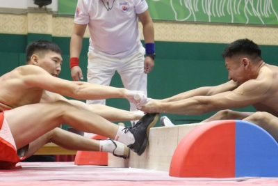 Мегино-Кангаласский улус досрочно стал обладателем Кубка Федерации по мас-рестлингу / Дьулустаан Сергеев   