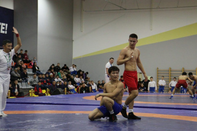 Крупные турниры по хапсагаю состоятся в Якутии в выходные / Дьулустаан Сергеев   Республика Саха (Якутия)