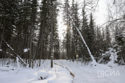 Экстремальное реалити-шоу «Сила духа-2» выйдет на канале НВК «Саха» в январе / ЯСИА   