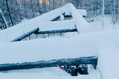 В Нюрбинском районе обнаружено тело пропавшего мужчины / ЯСИА   