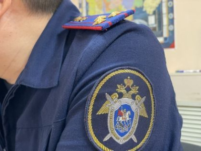 По уголовному делу о гибели женщины и травмировании 6 пассажиров, в том числе ребенка,  в дорожно-транспортном происшествии вынесен приговор /    