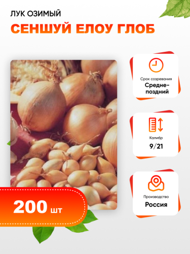 Лук озимый Сеншуй Елоу Глоб (калибр 9/21) 200 шт