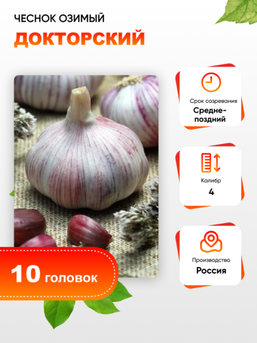 Чеснок Докторский 1 уп. (10 головок) калибр 4