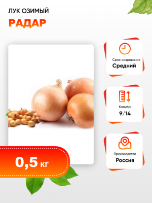 Лук озимый Радар (калибр 9/14) 200 шт