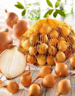 Лук озимый Зимородок (калибр 9/21) 200 шт