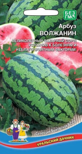 Арбуз Волжанин (УД) 8 шт цв п