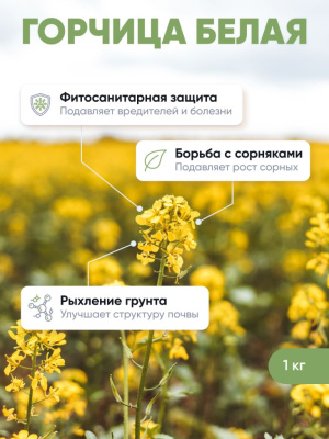 Горчица белая 1 кг