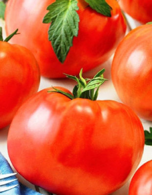 Томат Монгольский Карлик стелящегося типа (УД) 20 шт. цв.п.