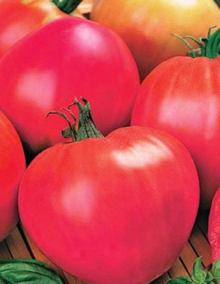 Томат Мишка Косолапый Розовый (УД) 20 шт. цв.п.