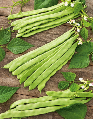 Фасоль Чудо лентяя (УД) 10 шт цв п