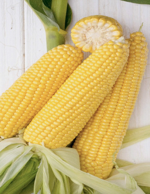 Кукуруза Медовая сказка - сахарная (УД) 5 гр. ц.п.