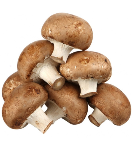 Грибы Шампиньон Королевкий (УД) 30 мл/15 гр цв.п