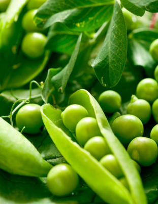 Горох Само совершенство - сахарный (УД) 5 гр цв.п.