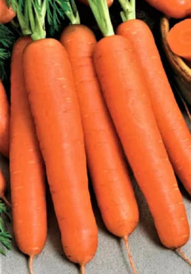 Морковь Алтайская сахарная (УД) ГЕЛЕВОЕ ДРАЖЕ 250 шт цв.п.