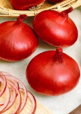 Лук репчатый Ред Барон (УД) 0,25 гр. цв.п.