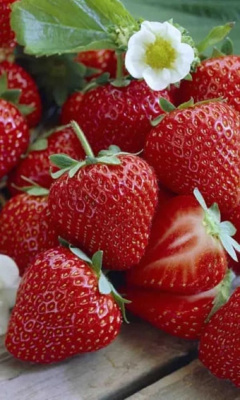 Земляника Шустрёнок - ремонтантная (УД) 10 шт