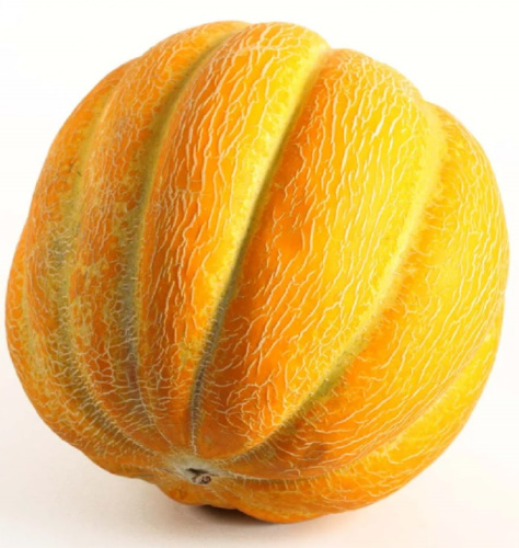 Дыня Медовая долька (УД) 10 шт цв.п.