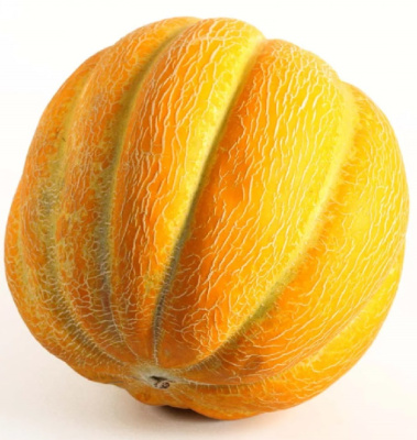 Дыня Медовая долька (УД) 10 шт цв.п.