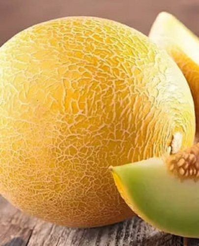 Дыня Сверхранняя (УД) 10 шт цв.п.