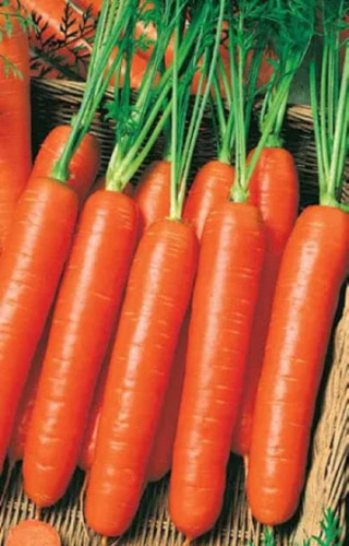 Морковь Нантская отборная (УД) 2 гр цв.п.