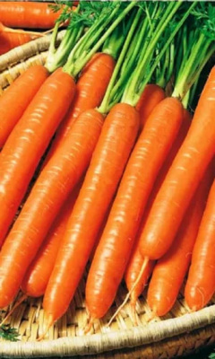 Морковь Без сердцевины (УД) (ГЕЛЕВОЕ ДРАЖЕ) 250 шт цв.п.