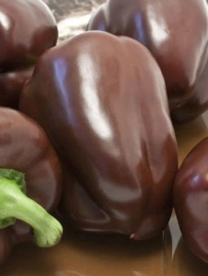 Перец сладкий Мегатон молочный шоколад F1 (УД) 12 шт