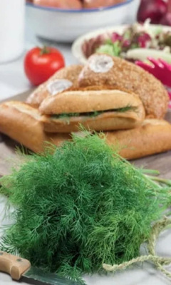 Укроп Лохматый Санька (УД) 2 гр