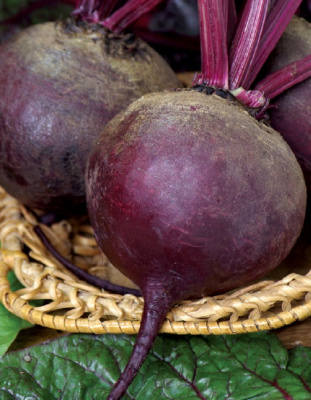 Свекла Русская односемянная (УД) 2 гр цв.п