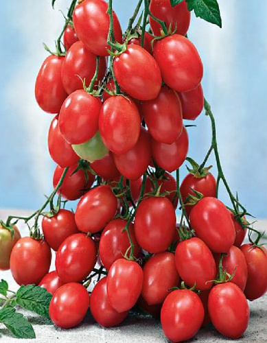 Томат Испанский Розовый (УД) 20 шт цв.п