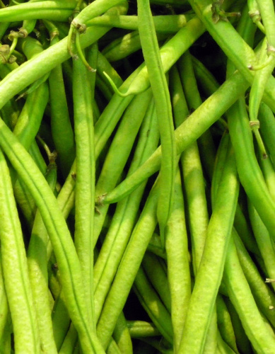 Фасоль спаржевая Журавушка  (УД) 10 шт цв п