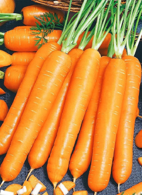 Морковь Сочная и сладкая (УД) 2 гр цв.п.