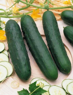 Огурец Любимый Мужчина-салатного типа F1 (УД) 10 шт цв.п