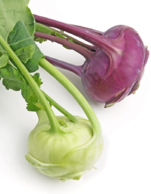 Капуста кольраби Смесь сортов (УД) 0,25 гр цв.п.