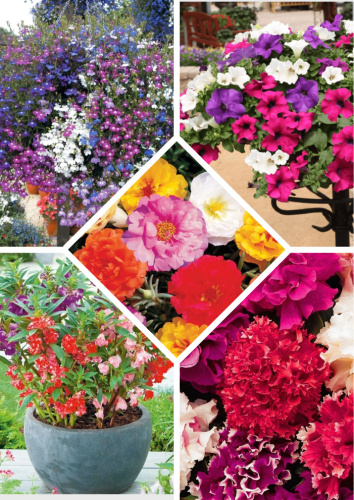 Набор Цветник на балконе 13 пакетов