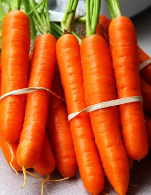 Морковь Тушон 2 гр б.п