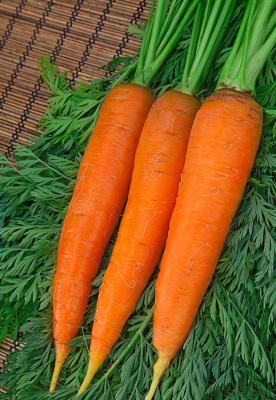 Морковь Шантенэ Роял  2 гр б.п.