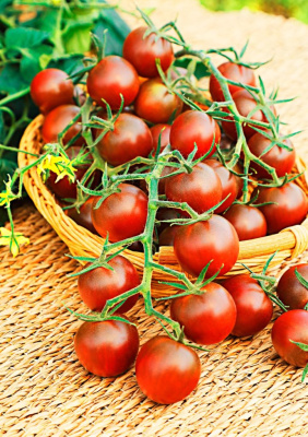 Томат черри Вишенка черная  0,03 гр цв.п