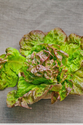 Салат 4 сезона 1 гр цв.п