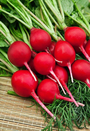 Редис Престо 1 гр б.п.