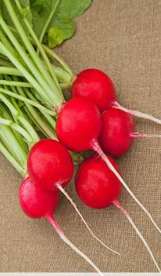 Редис Регге 1 гр цв.п.