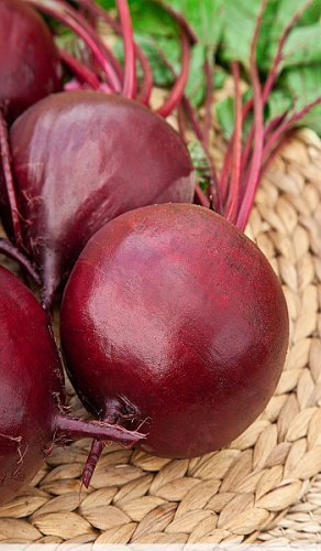 Свекла Боро F1 1 гр цв.п