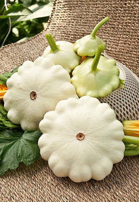 Патиссон Зонтик 2 гр б.п