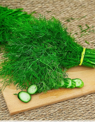 Укроп Аллигатор 1 гр б.п