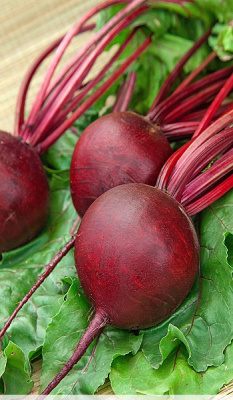 Свекла Пабло F1 0,7  гр б.п