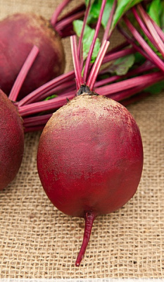 Свекла Мулатка 2 гр б.п