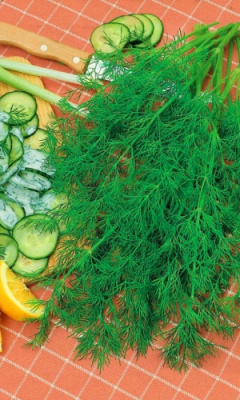 Укроп Генеральский 2 гр цв.п